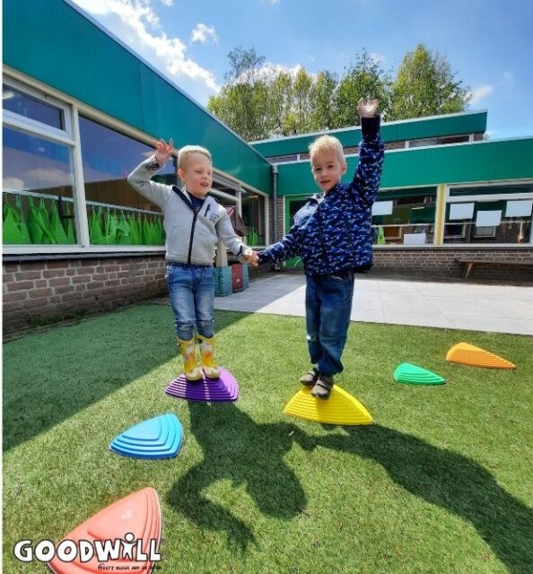 Wiebelen op de stapstenen_Goodwill.nl