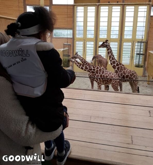 Giraffen kijken tijdens Goodwill Day_Goodwill