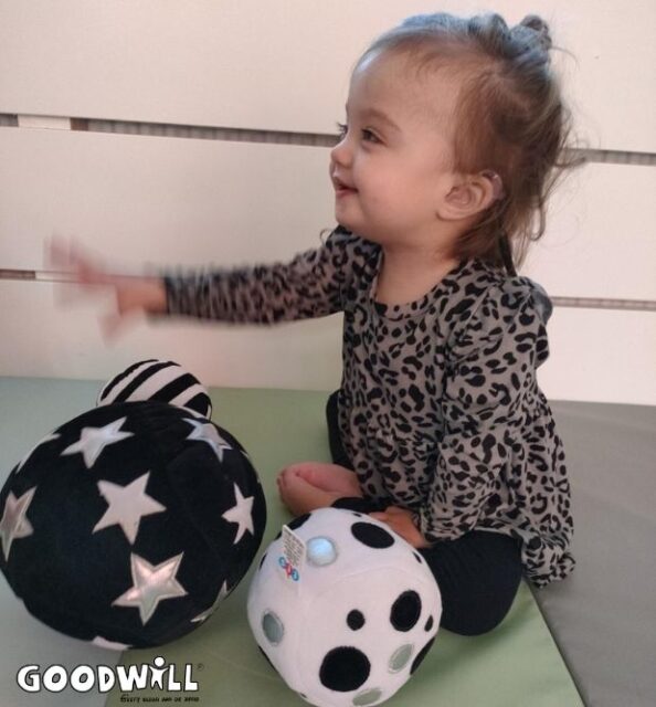 Zwart witte speelballen_Goodwill.nl