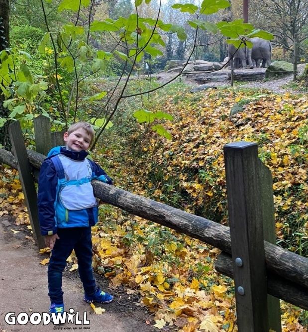 Genieten in de dierentuin