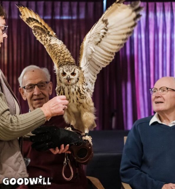 Roofvogelshow bij Mijzo Eekhof in Kaatsheuvel_Goodwill