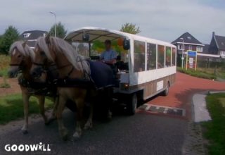 foto van huifkar met paarden