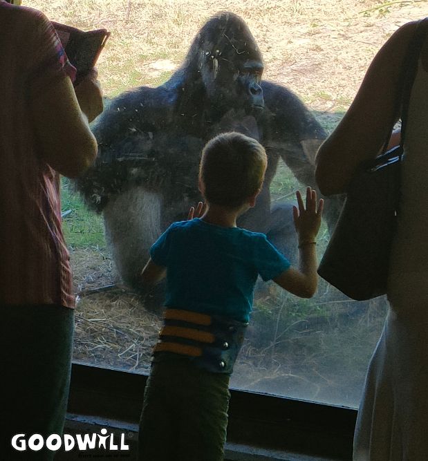 Een dagje naar GaiaZOO