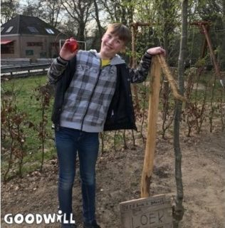 Nieuwe appelboom geplant - Goodwill.nl