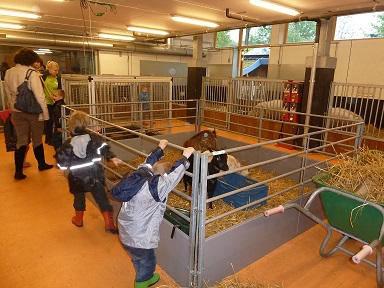 Dagje uit voor Sterretjesgroep TriviumLindenhoud